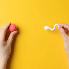 Влияет ли инфекция сперматозоидов на процедуру ЭКО