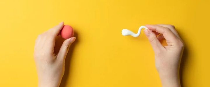 Влияет ли инфекция сперматозоидов на процедуру ЭКО Влияет ли инфекция сперматозоидов на процедуру ЭКО