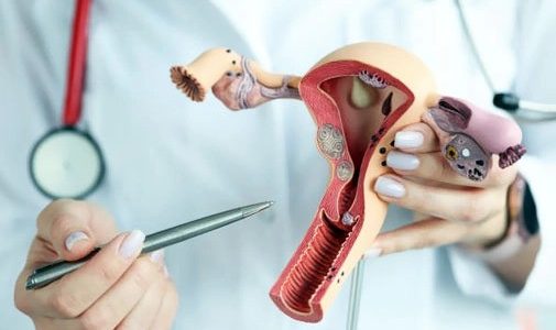 влияют ли фибромы на экстракорпоральное оплодотворение влияют ли фибромы на экстракорпоральное оплодотворение