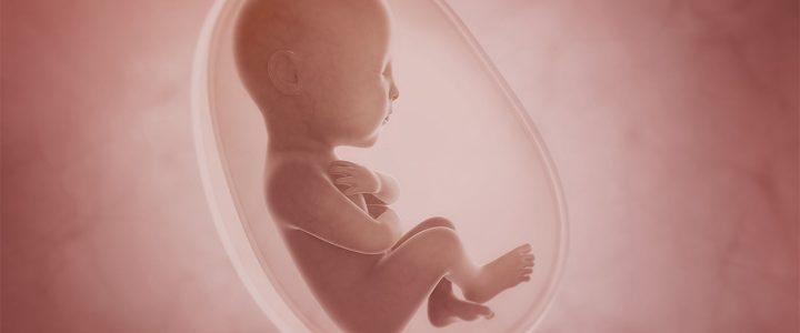 Что такое водянка плода? Что такое водянка плода