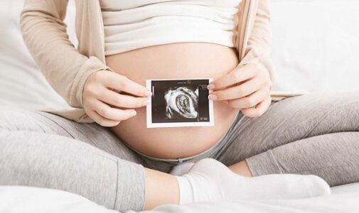 Что такое человеческий плод (фетус)? Что такое человеческий плод (фетус)