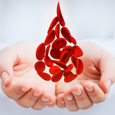 Влияет ли анемия на лечение методом экстракорпорального оплодотворения (ЭКО)