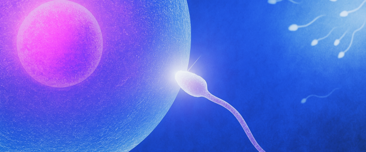 Цены на донорство спермы 2026