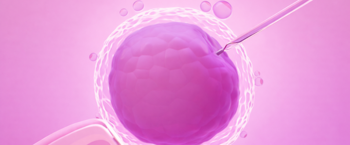 Сколько времени уходит на ЭКО